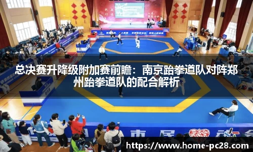 总决赛升降级附加赛前瞻:南京跆拳道队对阵郑州跆拳道队的配合解析